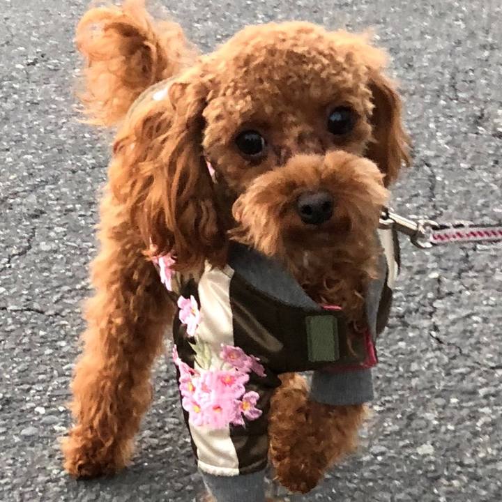 A1ee1d78 25fe 45dd 9705 74efc979f5c9 1511423634640