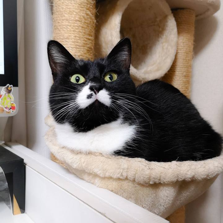 A1ee2300 9b63 4f69 bf83 86fd810a43eb 1549345789362