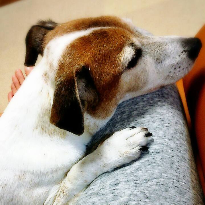 A1ee61e8 dcae 4cbe b96d 11f1c522a393 1511078348743