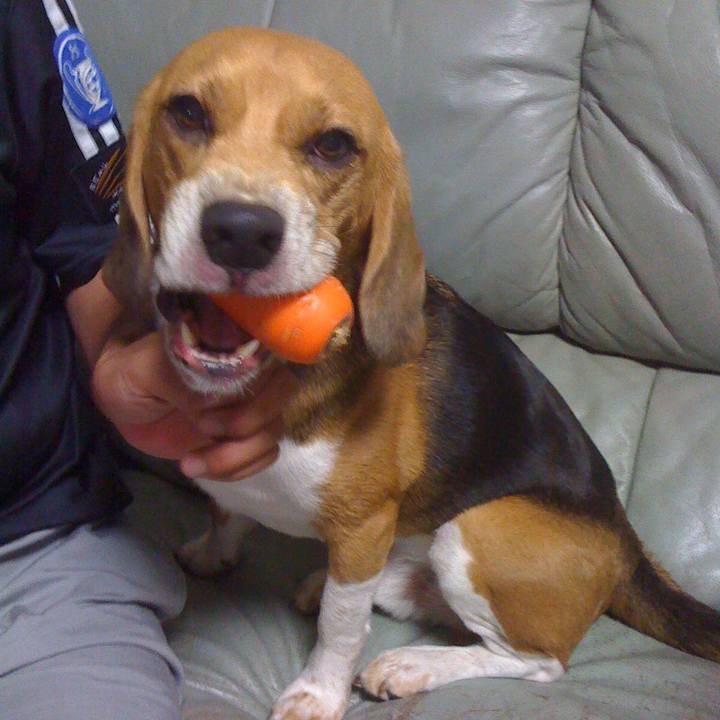 A1eea856 d90b 472e 9ad1 30d1053a9ef4 1632014299745