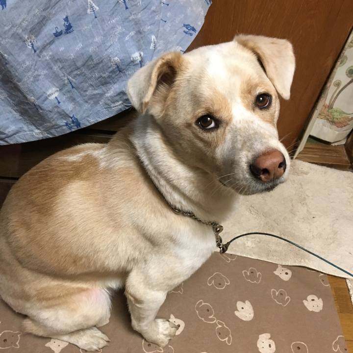 A1eed2ea 803b 4aa0 b182 1199f004e155 1513853033756