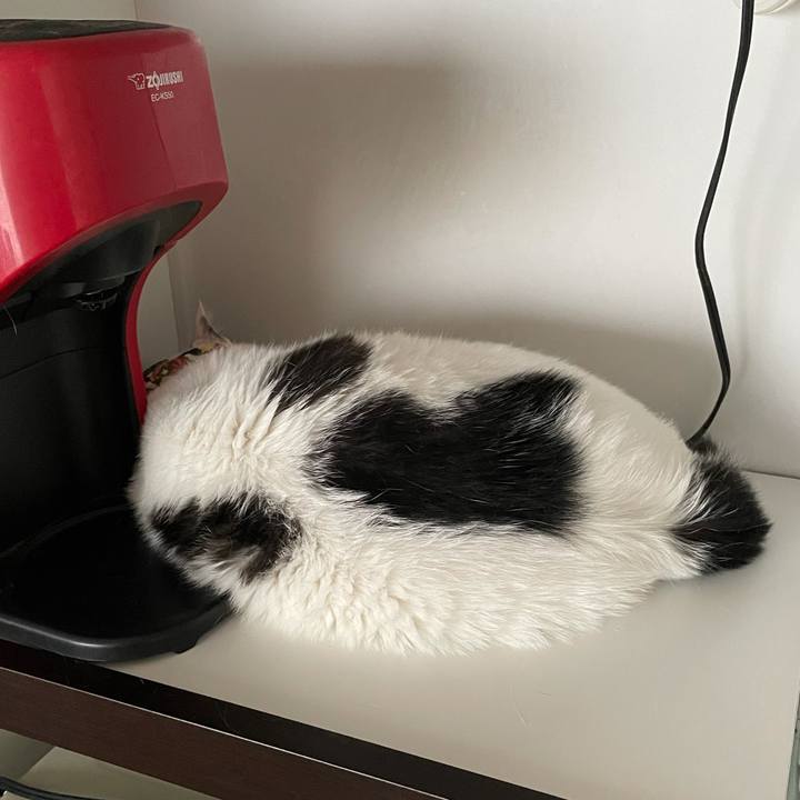 A1ef0f87 1221 403a 9b2f 48e869bb40da 1629005867923