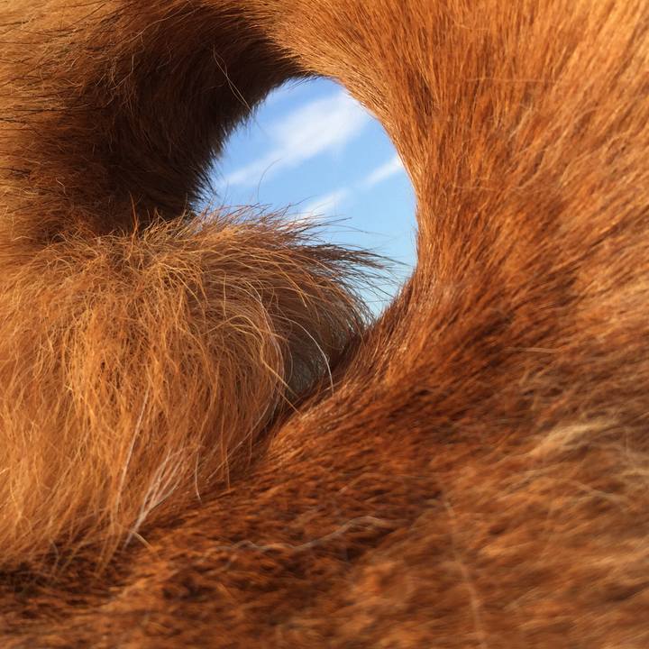 A1ef6d0d 90e1 4c66 880d f62c0aa72b07 1604295755729