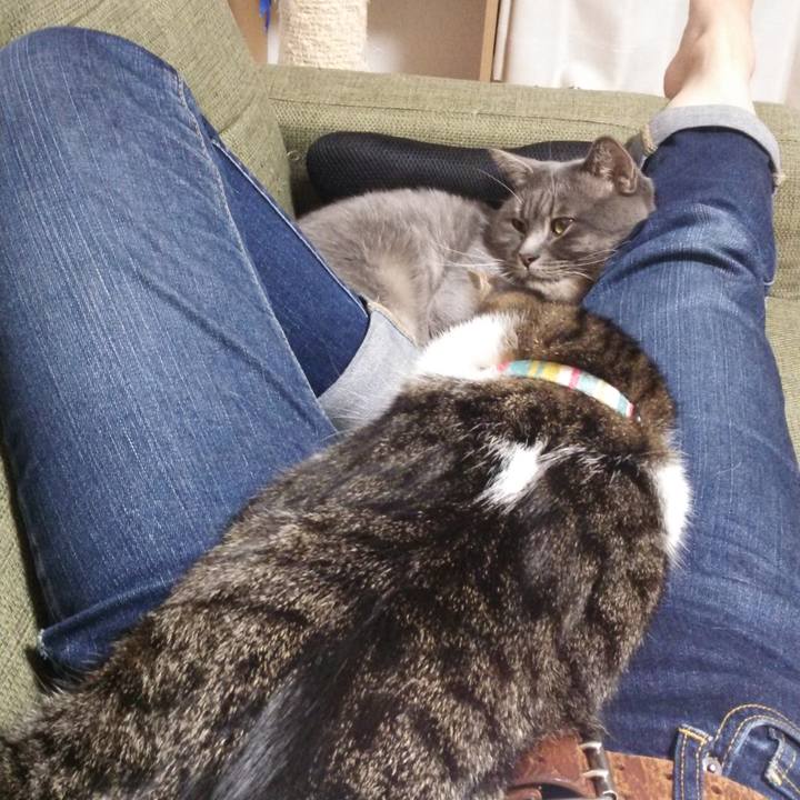 A1ef832a 18df 4321 9a36 9223ea980258 1542501529735