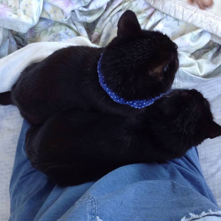 A1ef9d04 88d2 489e b8ab 0e200fe34eb0 1551505145950