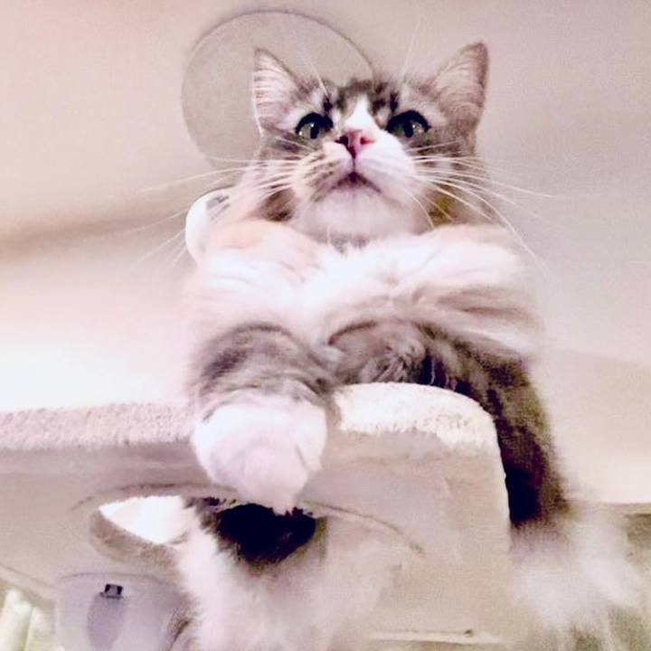 A1efb88a 068e 4fe4 a7cd 6b86d84918a5 1716394655328