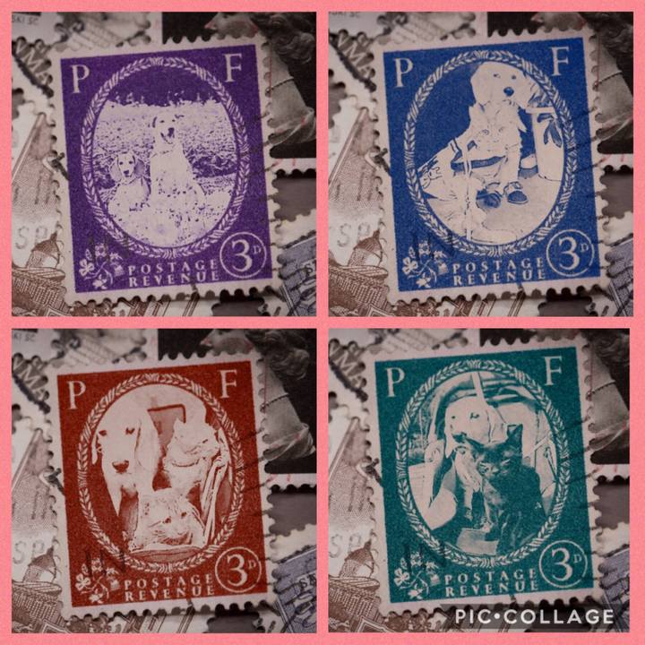 A1efbcdf 5c6c 4db8 b628 ec005696edb6 1570025128142