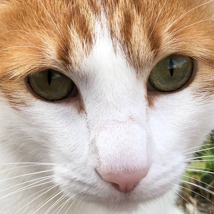 A1efd1df 62bd 4b74 9dae 0be308da9559 1560864759017