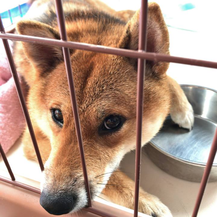 A1efd28b 3590 4e28 9671 05fa6b465874 1532385926484