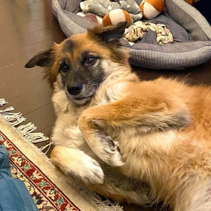 A1efebad f865 4e9f b982 e0d26175c8d2 1766732264637