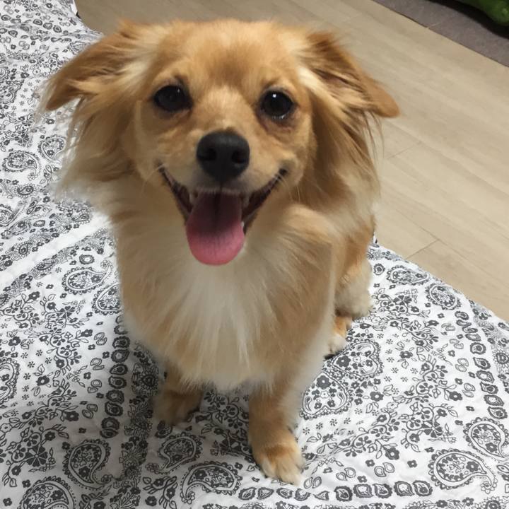 A1efefa9 ef50 48a8 b72d 2a9c133d6c67 1567598339615