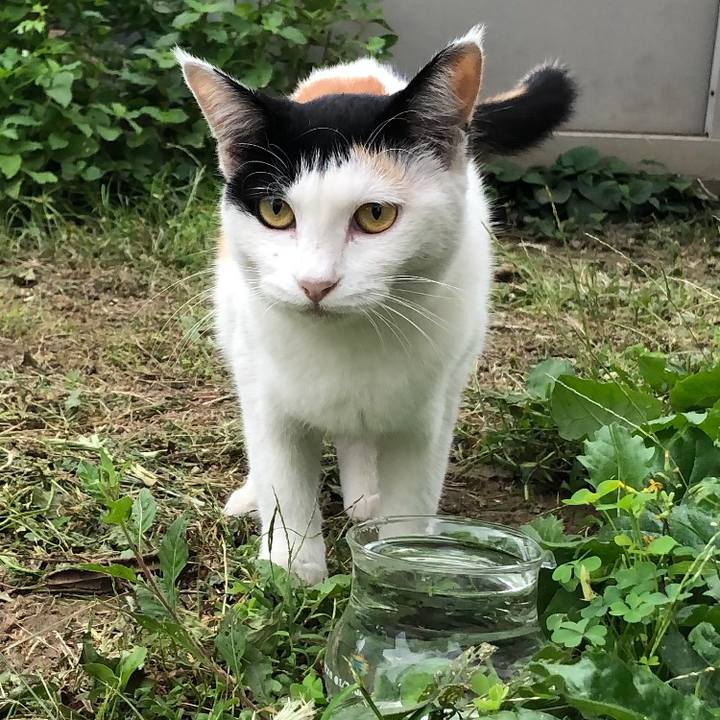 A1effc59 078c 4c16 aa94 a03a77770f64 1600208035329