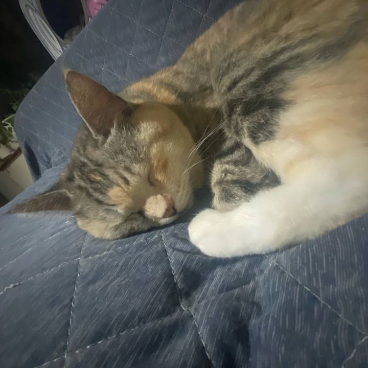 A1f06e5e ce11 4229 8dc4 930d31bddb26 1725378011976