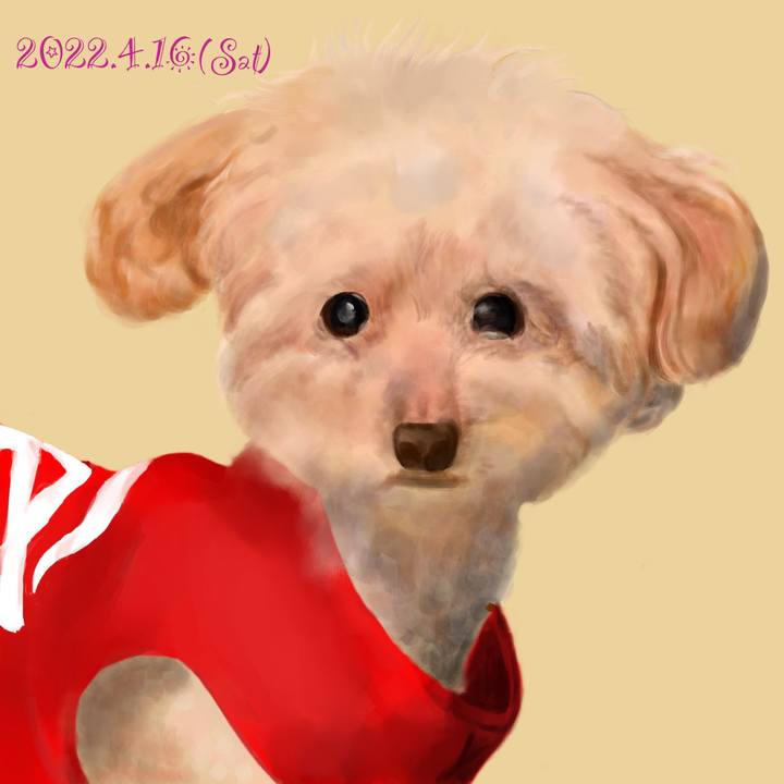 A1f0b5fc 10d8 4ab8 8231 785534539a8d 1650123693405