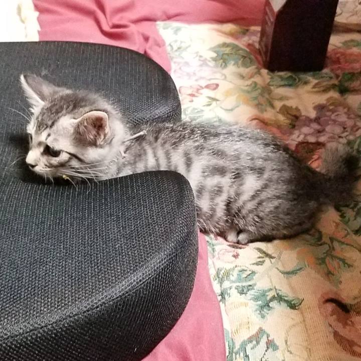 A1f0ff2f ccbc 4150 bde5 4319e0523fef 1663978954902