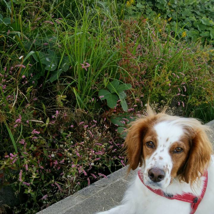 A1f12f22 a291 4664 b0ea 154787b8ff2f 1540554110485