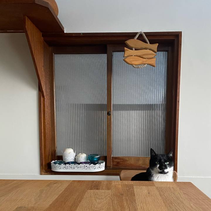 A1f1630a 9c69 4a91 94d0 8cb3b07f6df6 1620378573397