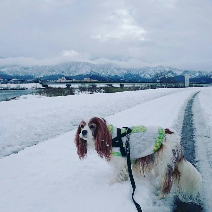 A1f163bb 570f 4a04 abd8 7f75aaf5711c 1544847387638