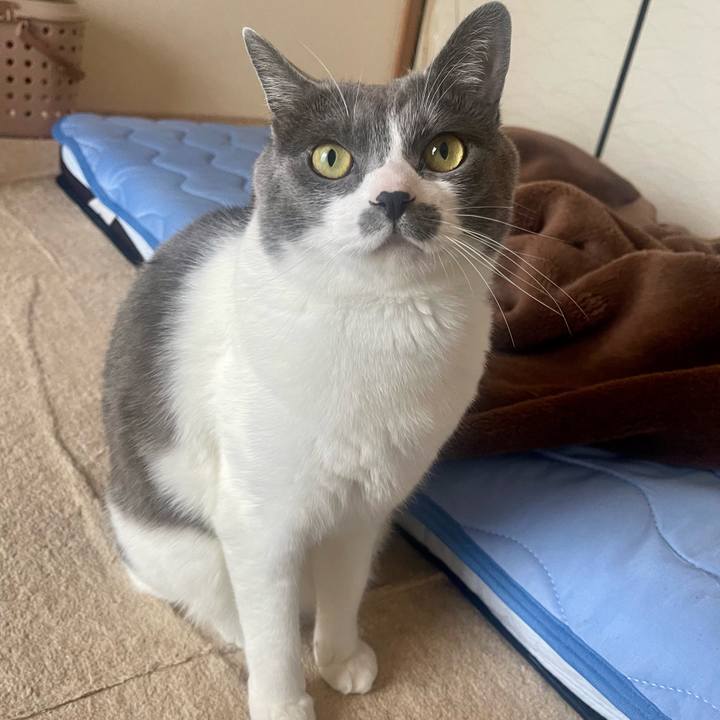 A1f1a00b 2b20 415a afda 3806a0db9e74 1684969965849