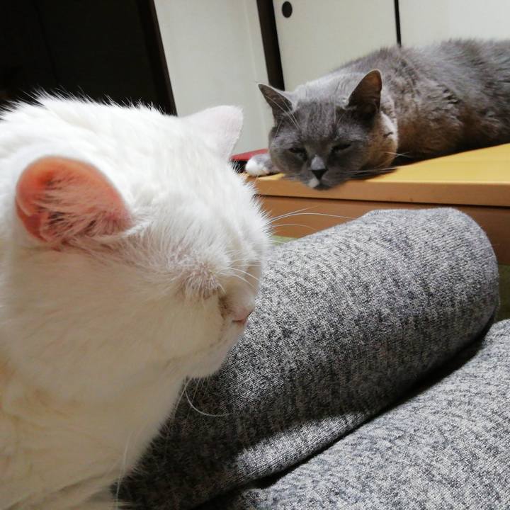 A1f1bcd6 5403 49fe abae 9ff6d9bdff5a 1710246065222