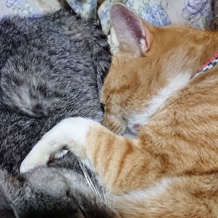 A1f1dbe8 d539 4f26 88f9 29938d66d87d 1576241727241