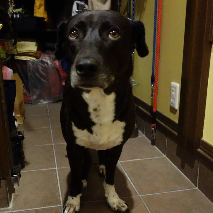 A1f1f284 c734 4987 8b76 dcca4e0c7451 1632401410493