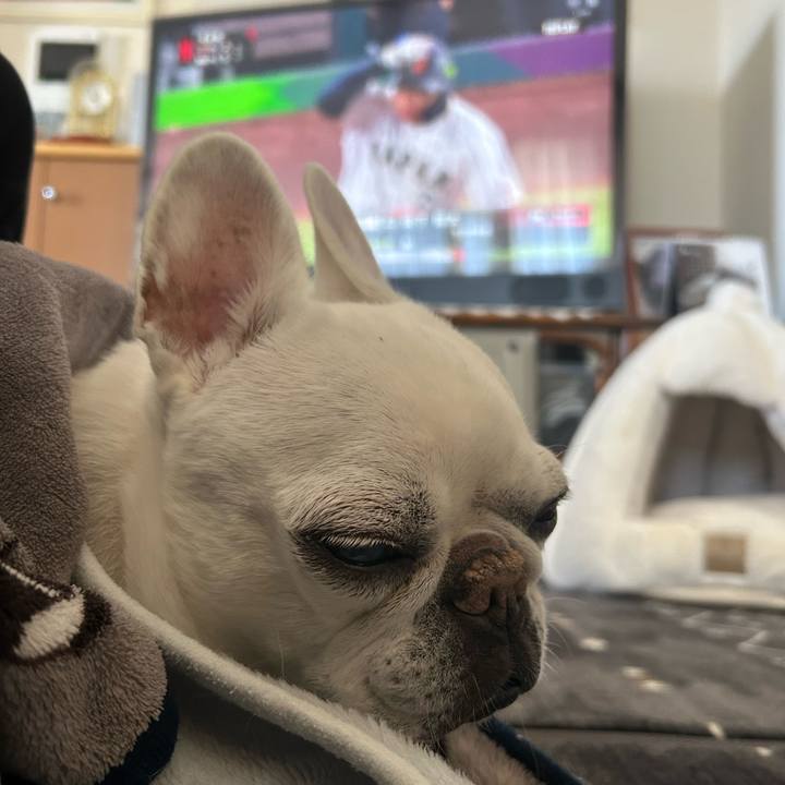 A1f21283 096d 483e b262 c694d931df70 1773541312066