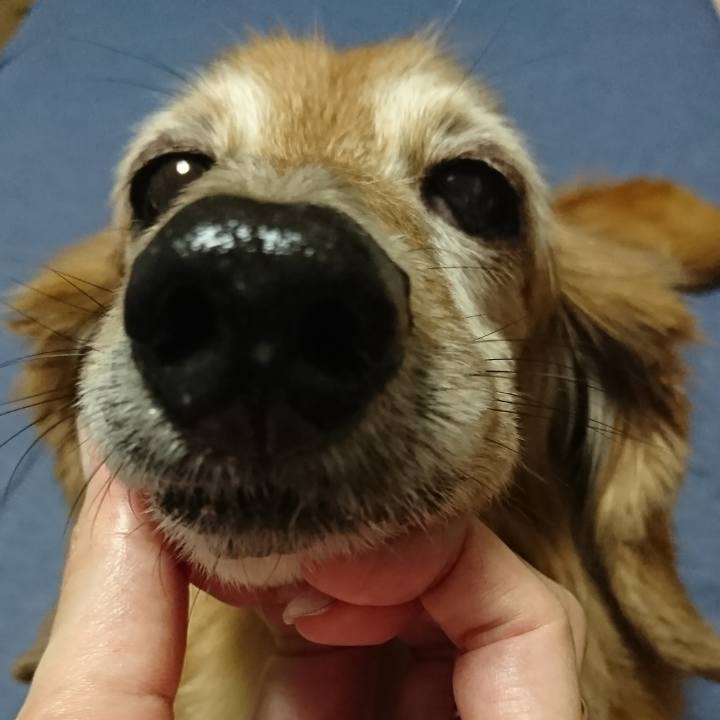 A1f2376f 2677 4b71 bc18 31eef37711d7 1771600902702