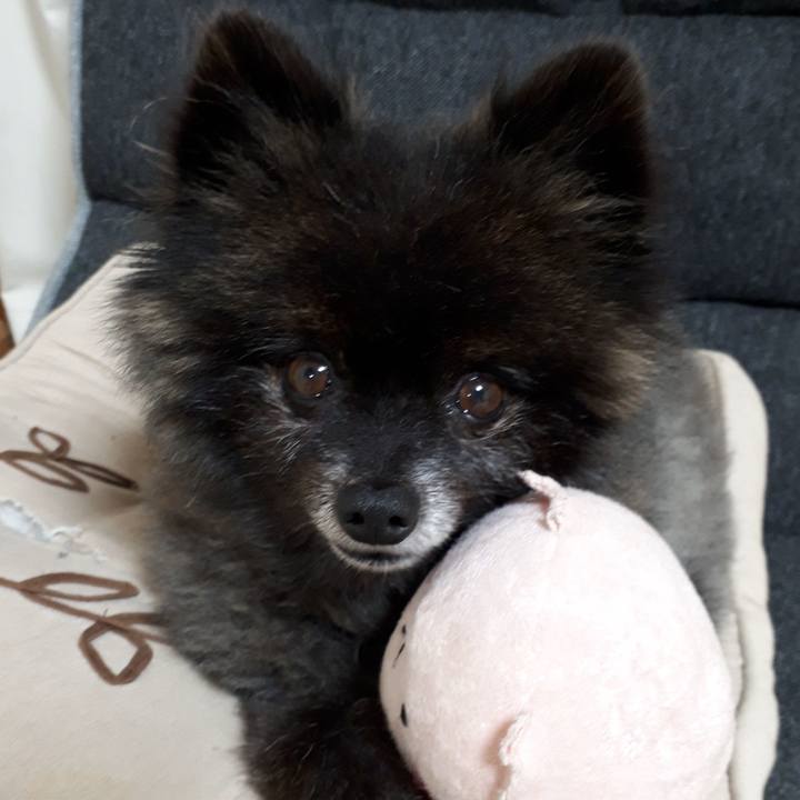 A1f25941 4cf8 42e4 8b24 997cc1c8c6b7 1542477474855