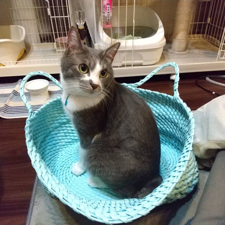 A1f289f8 4701 4ecc 870d 17305ad1c5c1 1648916552205