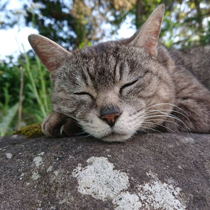 A1f2faa7 41e0 4eeb 96d4 a9d213b62024 1559203904758