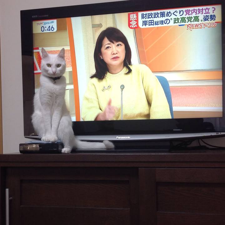 A1f33d4b 6e3e 43fb a7fe 5d1de5daa596 1642564244343