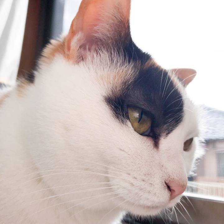 A1f360b1 b215 42fe adf5 53d21fb6afe1 1521162933739