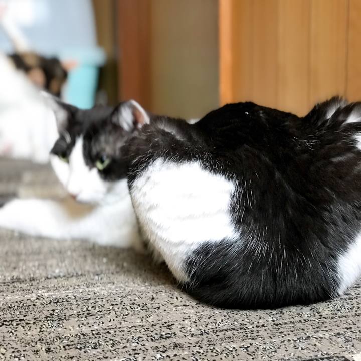 A1f37a99 c58f 4e6e b26b cced91fdd10a 1527475060979