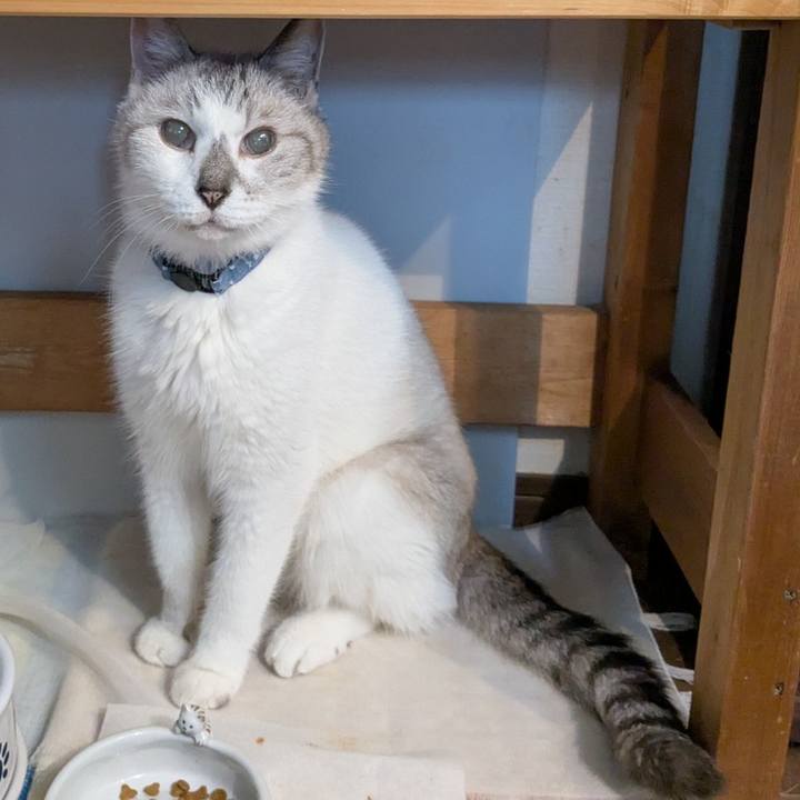 A1f38570 ee9a 48f8 b1b8 ff7c39d946ad 1756541986257