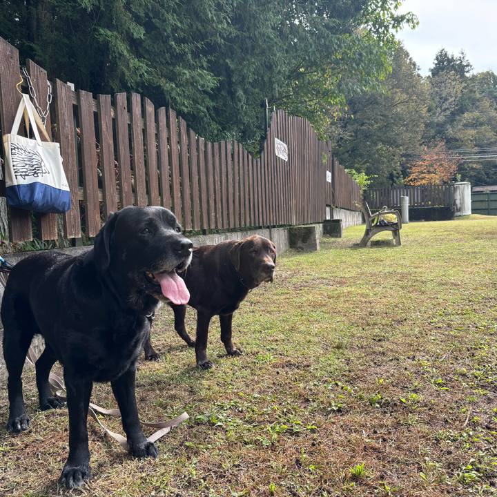 A1f38632 5870 4331 a7a6 a8ccedfb1e62 1762082044856