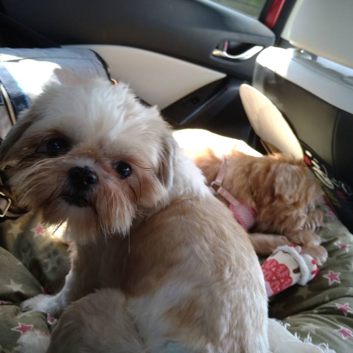 A1f3b848 1428 422c ad28 fb737fd5fa20 1598762876845