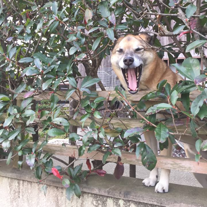 A1f3ccdc c32c 4c11 9e65 e3eab43769c7 1512861906107