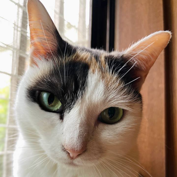 A1f3cceb 1f49 4ec8 90ba 83bb431b7034 1656728083762