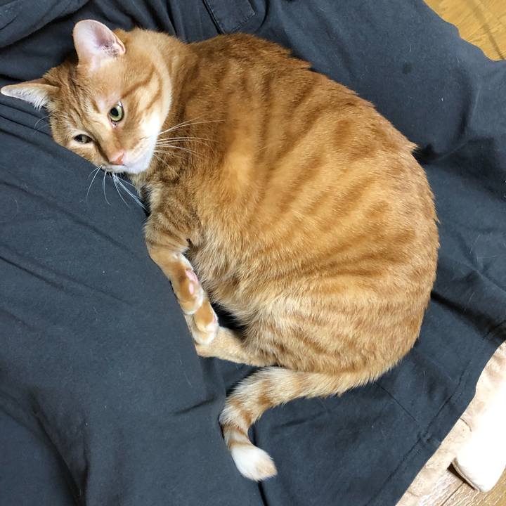 A1f46863 ebce 423d 9b37 f02adaaf9bb4 1610461616541