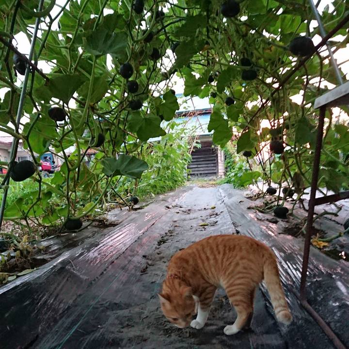 A1f473c6 364f 4688 aa40 42c3506a1e29 1564222418128