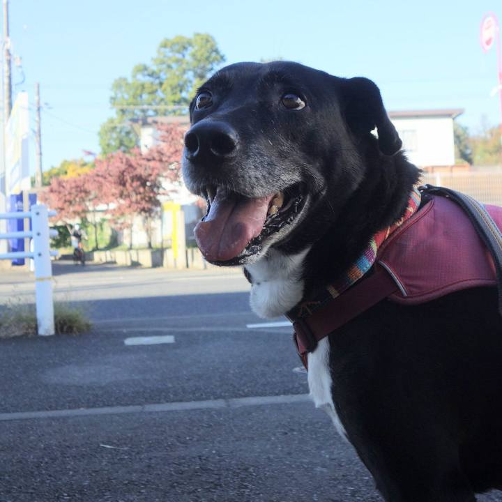 A1f47e7f a52e 4859 b3da a9df88a0d365 1698277209096