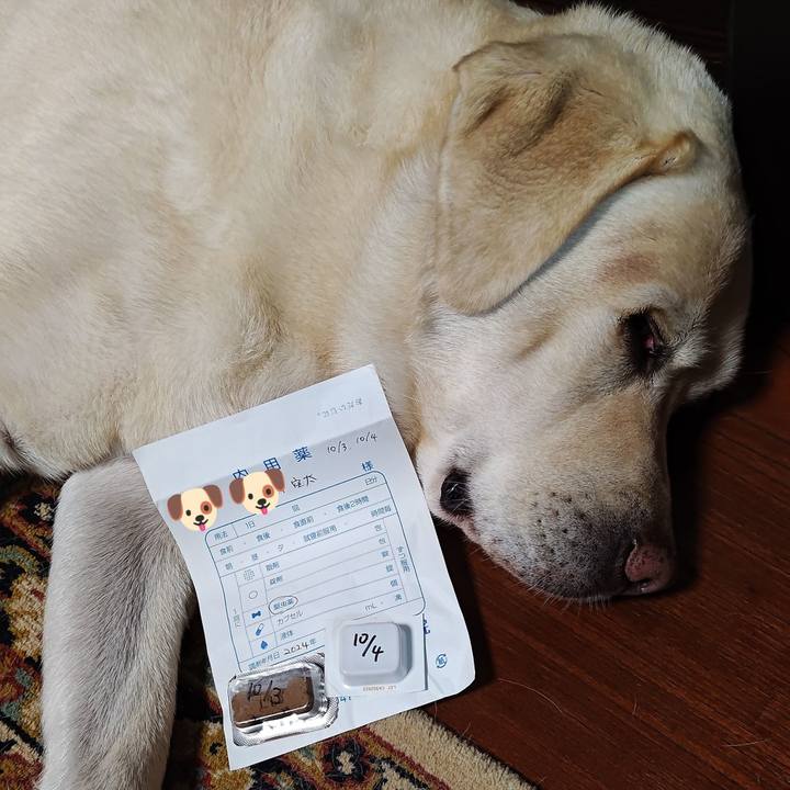 A1f4f12d 4e2e 4dfa 86da af817e3b68fa 1727526550421