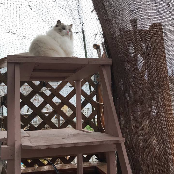 A1f500ca 72c6 4ced b7db bfaf0196f28e 1578262157779