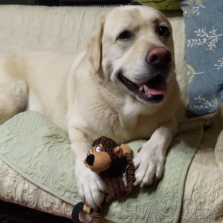 A1f501af 3bef 4e0d 97e1 d97919b35b1f 1663154948907