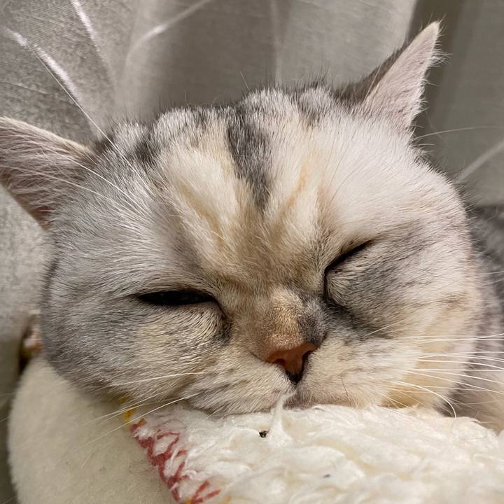 A1f54282 464e 4afa b3bb 282583957db0 1775829691433