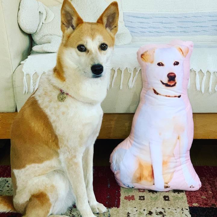 A1f55470 9af2 488d a17c 30a0a186e797 1623803267414