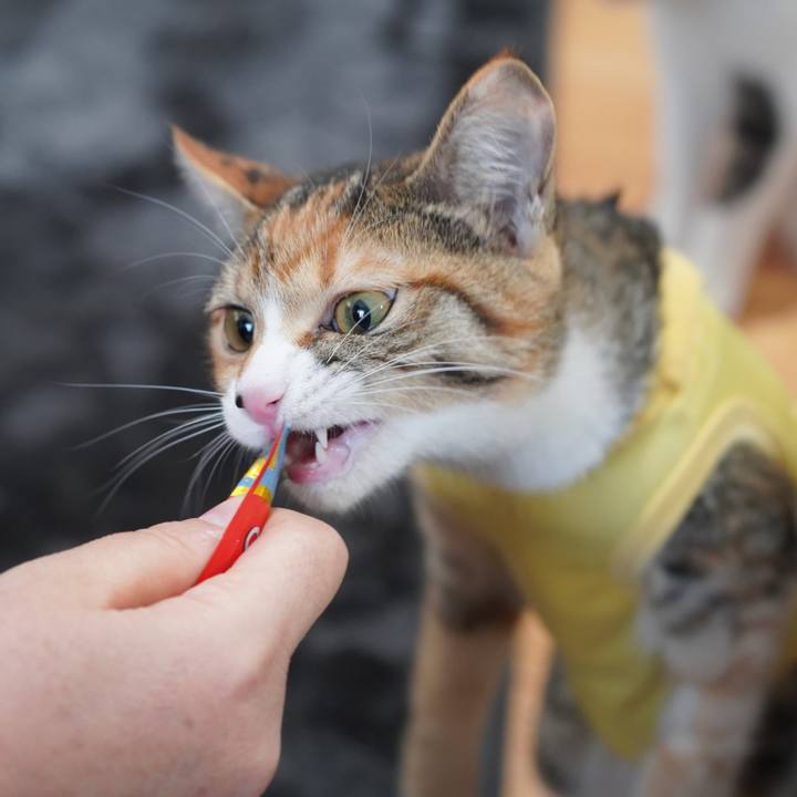 A1f56de4 1fd9 45c0 8db2 2d18aa2a3bff 1578801371069