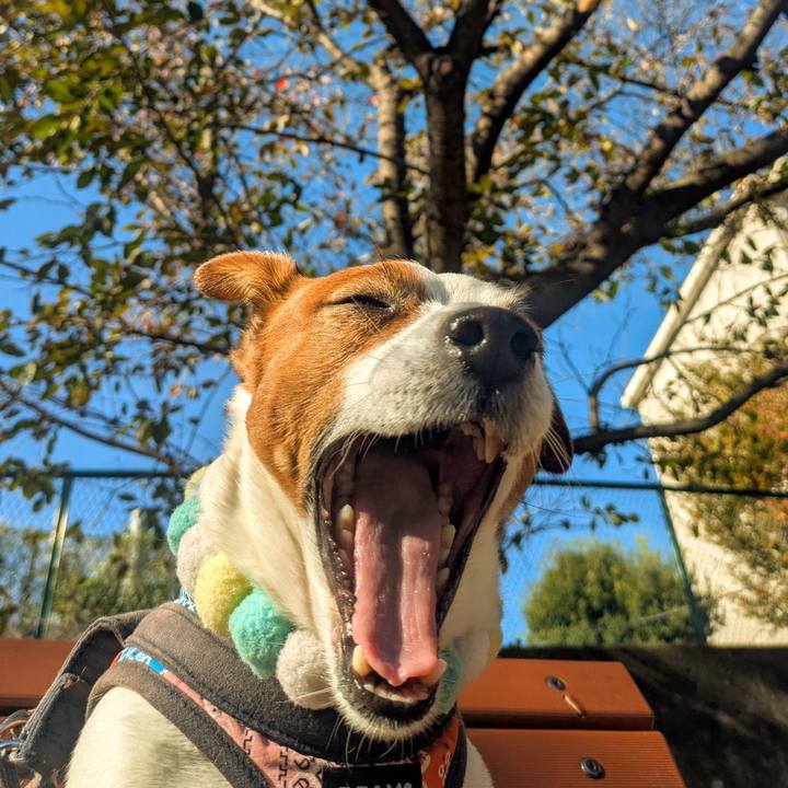 A1f635b2 f9fd 49b5 92db 49a100ff2ec8 1763015562788