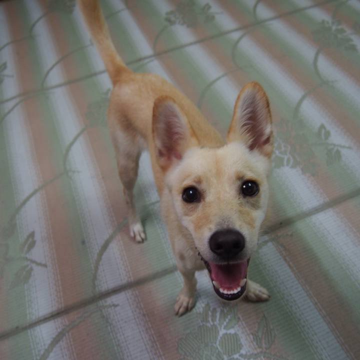 A1f6507f 55b3 44eb 9aa9 45b87b189adf 1529987723869